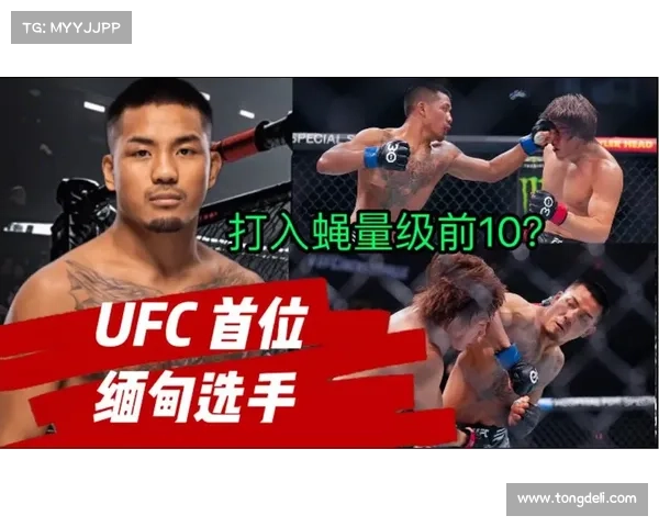 缅甸新星约书亚・万三周连捷 锁定 UFC 蝇量级冠军挑战权 缅甸新星约书亚・万三周连捷 锁定 UFC 蝇量级冠军挑战权